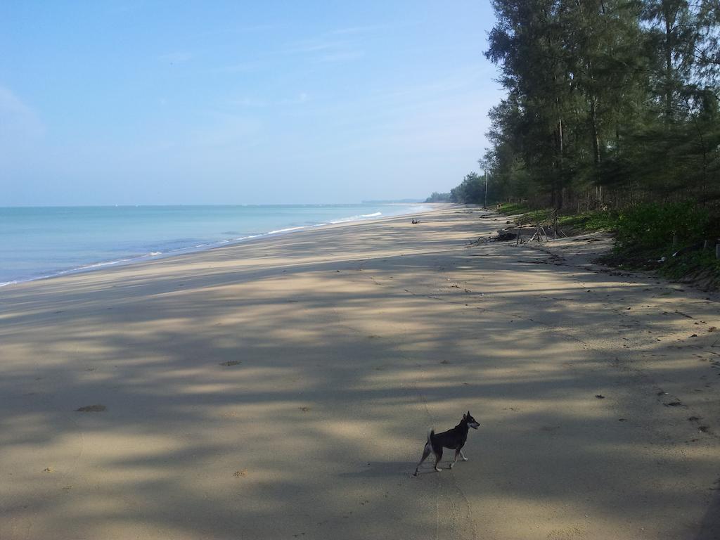 Living Room Apartments Bang Lut Beach Khaolak Bang Sak Стая снимка
